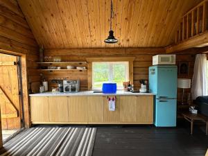 Dry Log Cabin with Mountain Views