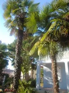 IL Passito Caluso - Candia Canavese