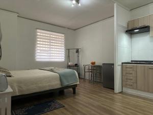 Santiago - departamento 1 ambiente A pasos del Metro Santa Lucía y Universidad de Chile