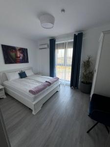 Apartament Denisa Baile Felix