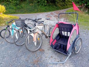 Maisons de vacances ROUPILLON A JANET : photos des chambres