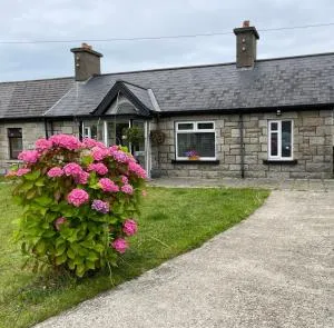 Granite Bungalow - Rathfarnham