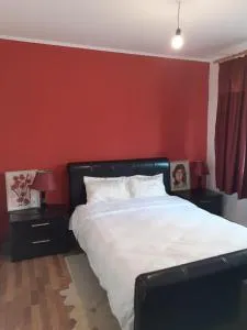 Apartament cu 3 camere la poala Munților Făgăraș - Viştea de Jos