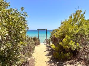 Blue shutters by the beach img65
