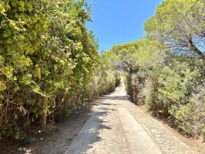 Blue shutters by the beach img63