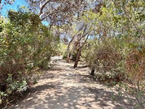 Blue shutters by the beach img64