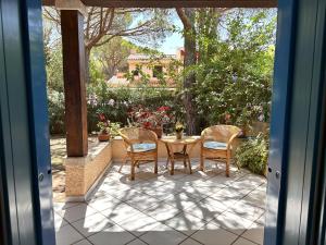 Blue shutters by the beach img21
