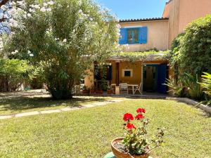 Blue shutters by the beach img7