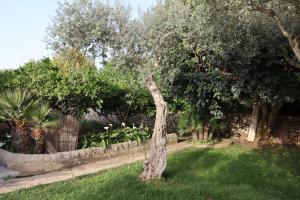 Sabbinirica Vacation House