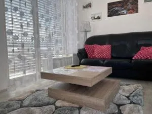 Horský apartmán Nový Javor - s možností využití wellness - Špičák