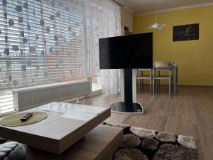 Horský apartmán Nový Javor - s možností využití wellness