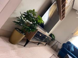 شقة حي شوران