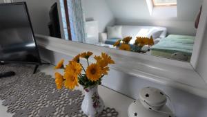 Strefa Ciszy -Lawenda