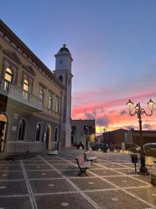 Maison Belvedere img12