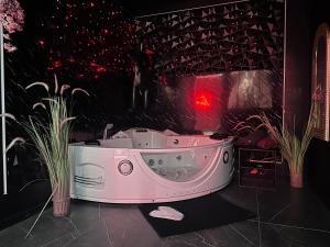Appartements Suite Jeux d’Amour Jacuzzi / Love Room : photos des chambres