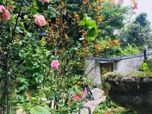 Chambre 3 Namur à vélo