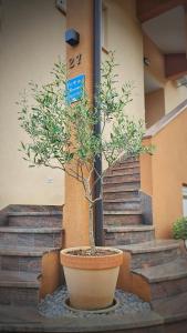 Premium Apartments Tade Funtana