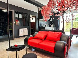 Suite Jeux d’Amour Jacuzzi / Love Room