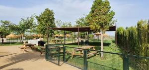 La Casa del Alfarero - Premio Andalucia de Artesania