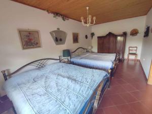 Apartment in Kehidakustany - Nordtransdanubien 51288