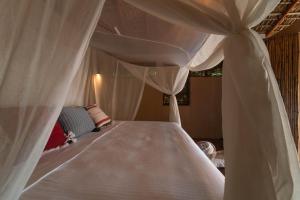 Cabanas Adobe Frente Al Mar