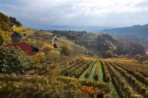 Holiday home in Otocec - Kranjska (Krain) 26040