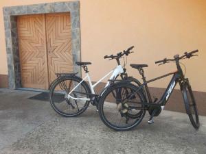 Holiday home in Otocec - Kranjska (Krain) 26040