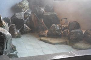 HOTEL FARO manazuru - Vacation STAY 56464v