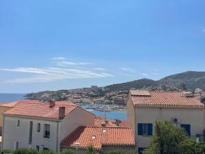Banyuls-sur-Mer: Appartement T2 avec Loggia, Parking Privé - FR-1-309-39