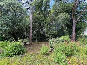 Studio lumineux proche plage, bois, marché - 4 pers, parking, animaux acceptés - FR-1-245-207