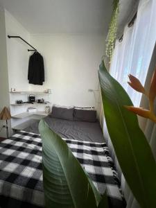 Peaceful Room in General Luna - Manoys Lair IAO - 1