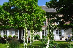 Maisons d'hotes La Maison & L'atelier : photos des chambres