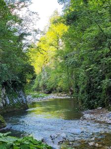 Apartman Stojanović Zlatibor