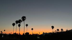 Luna Sol Lake & Mountain View