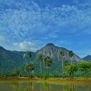 Santhoshinte Farm stay Kollengode - Kollengode