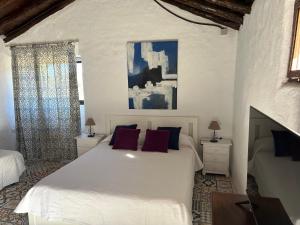 Finca Santa Teresa, Casa Granada