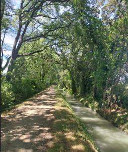 Appartements Cecile - Mas de Rousseau : photos des chambres