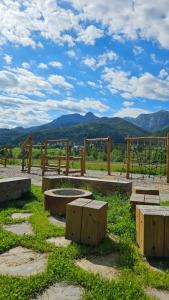 Niedźwiedź na Giewoncie