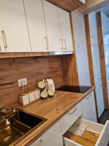 Apartman KING CENTAR