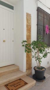 Casa Vacanze - VIOLA HOUSE by La Casa di Viola - Marsala