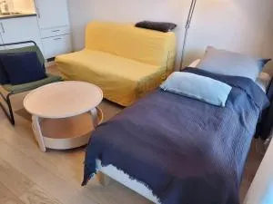 Practical flat connected with garden - Asklund