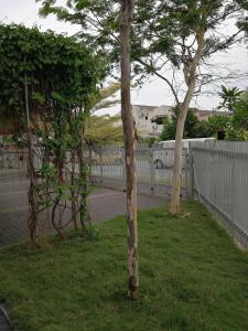 Check-Inn Guesthouse