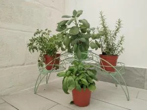 Case Vacanza Dimo Dimira - SALENTO & RELAX - Monte Grappa