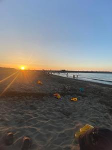 TULİPA SUİTEs TRABZON