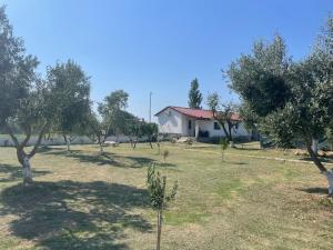 Diarla's Home 1