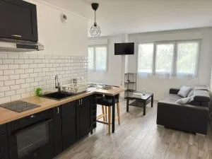 Luxurious and Stylish Studio Between Disney & Paris - Champs-Sur-Marne