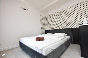 The Goat Apartments Wrocław Rynek