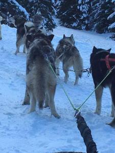 Appartements L-etoile des neiges Studio confort pour 4 personnes : photos des chambres