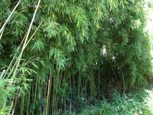 „1. SALZBURG work & sleep luxury apartment“ für arbeiten & wohnen !