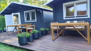 Poilsio namelis Palangoje - rami vieta prie jūros, terasa, nemokamas parkingas, pušynas, dviračių takas